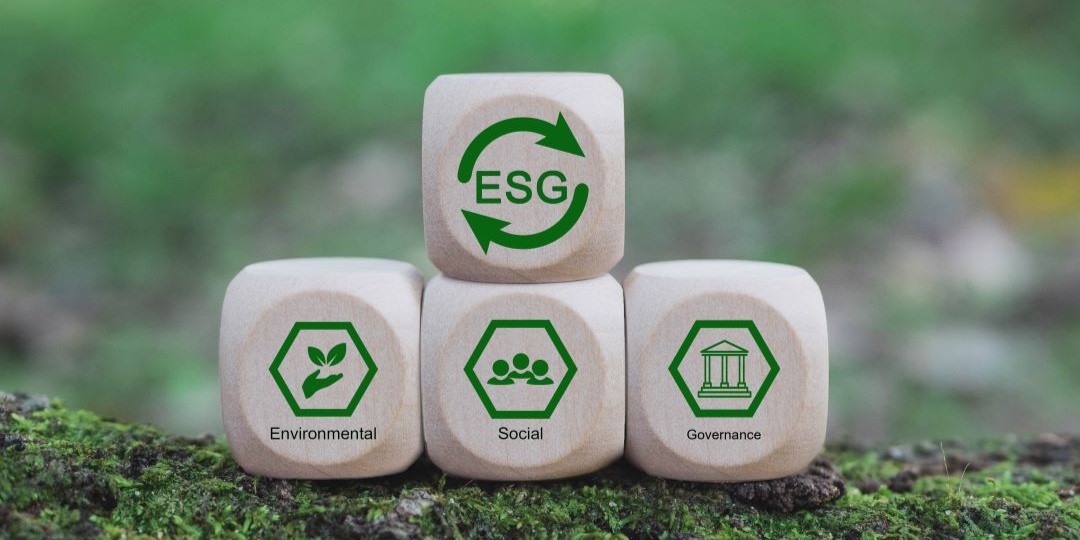 Environmental Considerations in a New Year & New Administration