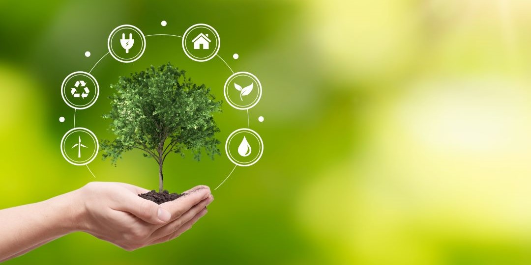 An Introduction to New NAES Environmental Services Resources