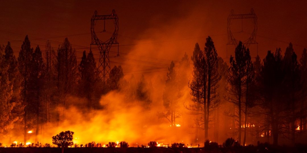 Grid Disturbance Trends: The Evolving Reliability Landscape