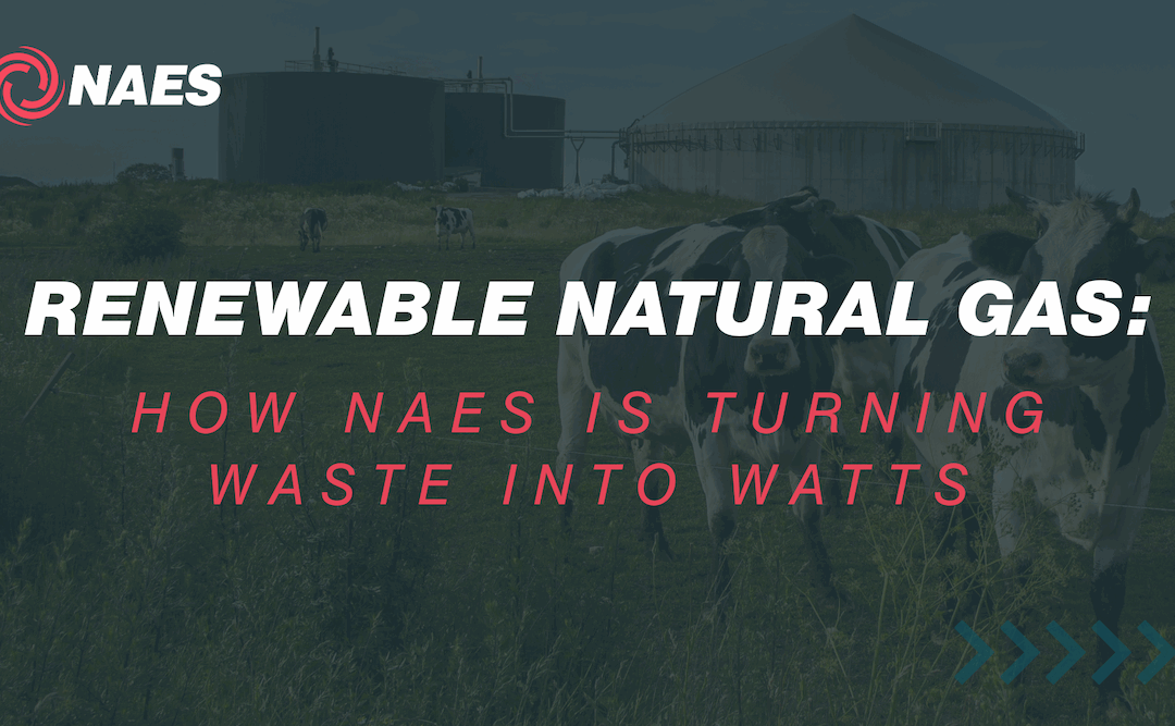 Renewable Natural Gas: How NAES is Turning Waste into Watts