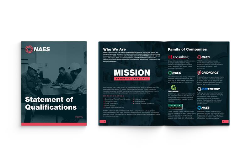 NAES SOQ Mockup