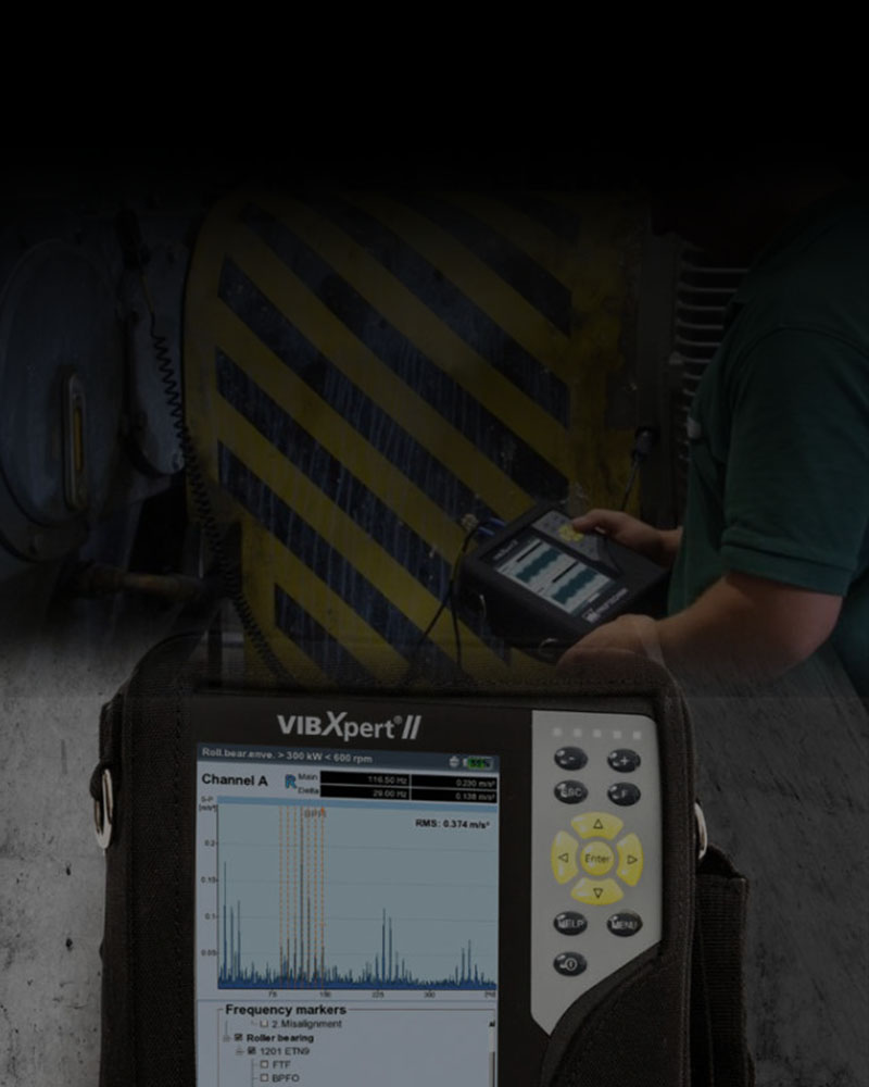 VibXpert service card